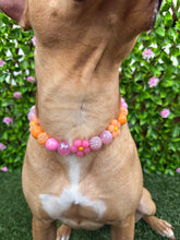 Load image into Gallery viewer, Sunrise Daisies Glam 🌼 Silicone Bead Collar
