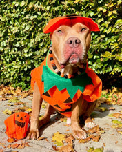 Load image into Gallery viewer, Trick or Treat Bead Collar