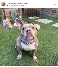 Load image into Gallery viewer, Purple Crush Acrylic Bead Collar