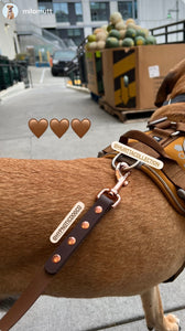 6 Foot Waterproof Leash ◻️