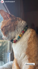 Load image into Gallery viewer, XS Rainbow Ceramic [Small Dog/Cat Bead Collar]