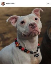 Load image into Gallery viewer, Superman Bead Collar
