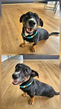 Load image into Gallery viewer, Malibu Sands Acrylic Bead Collar