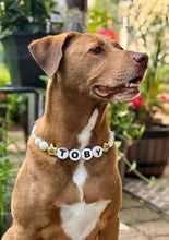 Load image into Gallery viewer, PERSONALIZED White Matte &amp; Gold Stars ⭐️ Bead Collar
