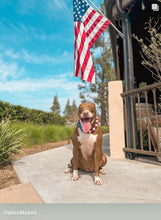 Load image into Gallery viewer, Stars &amp; Stripes Bead Collar