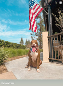 Stars & Stripes Bead Collar