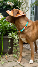 Load image into Gallery viewer, Beachside Acrylic Bead Collar