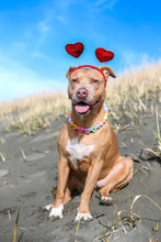 Load image into Gallery viewer, PERSONALIZED Candy Sweetheart Bead Collar