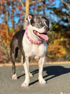 Frozen Berry Crackle Bead Collar