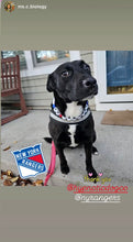 Load image into Gallery viewer, 🏒 New York Rangers NHL Inspired Bead Collar
