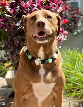 Load image into Gallery viewer, Ghostly Glow 👻 Bead Collar