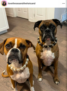 Chunky White Pearls Acrylic Bead Collar