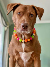 Load image into Gallery viewer, Groovy Daisies Bead Collar