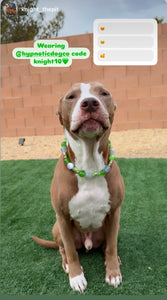 Shamrock Acrylic Bead Collar