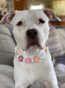 🌼 Vintage Daisies 🌼 Silicone Bead Collar