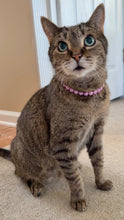 Load image into Gallery viewer, XS Orchid Purple Acrylic [Small Dog/Cat Bead Collar]