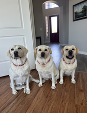 Load image into Gallery viewer, Peppermint Swirl Bead Collar