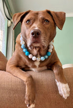 Load image into Gallery viewer, Bluebell Bead Collar