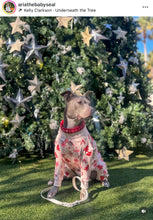 Load image into Gallery viewer, Lunar Red Triplo Acrylic Bead Collar