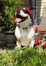 Load image into Gallery viewer, Chunky Red, White, &amp; Blue Pearls [with Dividers] Acrylic Bead Collar