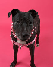 Load image into Gallery viewer, Chunky Bubblegum Pink Pearls Acrylic Bead Collar