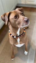Load image into Gallery viewer, PERSONALIZED Pumpkin Spice Halloween Bead Collar
