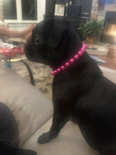 Load image into Gallery viewer, Mini Magenta Pearl [Small Dog/Cat Bead Collar]