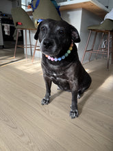 Load image into Gallery viewer, Pastel Rainbow Acrylic Bead Collar