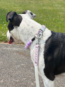 White & Cerulean Biothane Leash ◻️