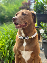 Load image into Gallery viewer, PERSONALIZED White Matte &amp; Gold Stars ⭐️ Bead Collar
