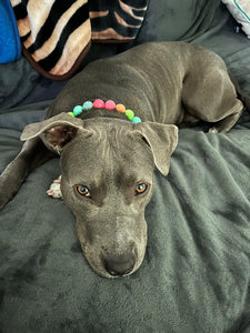 Tropical Punch Bead Collar