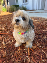 Load image into Gallery viewer, Tropical Rainbow MINI Acrylic [Small Dog/Cat Bead Collar]