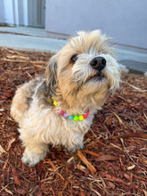 Load image into Gallery viewer, Tropical Rainbow MINI Acrylic [Small Dog/Cat Bead Collar]