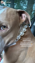 Load image into Gallery viewer, Chunky White Pearls Acrylic Bead Collar