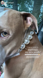 Chunky White Pearls Acrylic Bead Collar