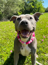 Load image into Gallery viewer, Pink Glitter Supernova Bead Collar