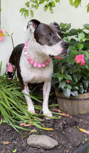 Load image into Gallery viewer, Pink Luau 🌺 Bead Collar