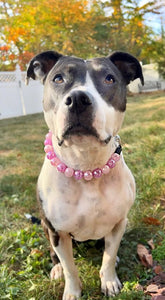 Frozen Berry Crackle Bead Collar