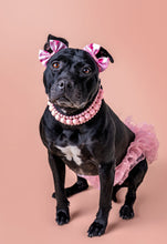 Load image into Gallery viewer, Blush Pink Rain Triplo Acrylic Bead Collar