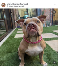 Load image into Gallery viewer, Magenta Rain [Scuffed] Acrylic Bead Collar - SALE