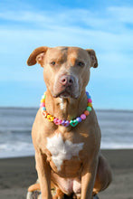 Load image into Gallery viewer, PERSONALIZED Candy Sweetheart Bead Collar