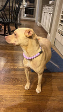 Load image into Gallery viewer, Lavender Waves Resin Bead Collar