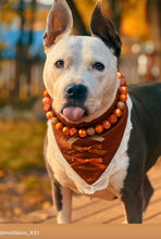 Load image into Gallery viewer, Autumn Leaves 🍂 Bead Collar
