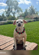 Load image into Gallery viewer, Christmas Frost Bead Collar
