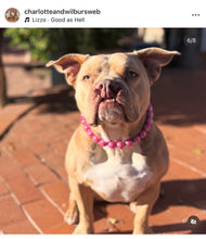 Load image into Gallery viewer, Magenta Rain [Scuffed] Acrylic Bead Collar - SALE