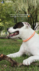 Orange Waves Resin Bead Collar