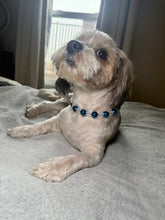 Load image into Gallery viewer, Midnight Snowfall MINI Glam Collar [Small Dog/Cat Bead Collar]