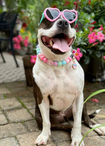 Cupcake Glitz Bead Collar
