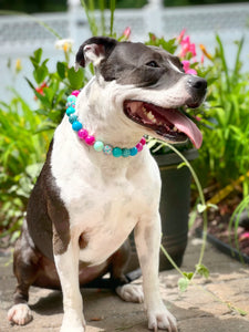 Margarita Splash Bead Collar