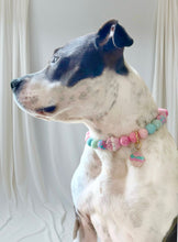 Load image into Gallery viewer, *NEW* Enamel Dog Personalized Name Tags